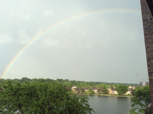 POSTERS & BANNERS - UPLOAD YOUR DESIGNS - Matte Coated Paper 90gsm